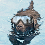 2019 Dog Sunglasses - dog grooming accessories